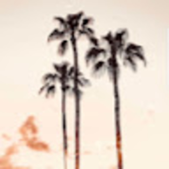 Meet your Posher, Luke - Picture 1 of 1